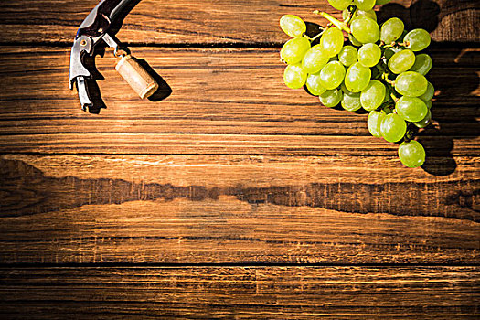 葡萄,开瓶器,桌上,生长,工作室