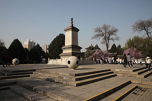 陕西西安青龙寺和樱花绽放