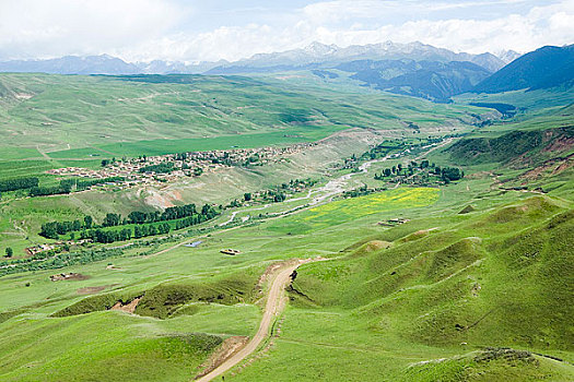 新疆伊犁地区－特克斯－喀拉俊草原