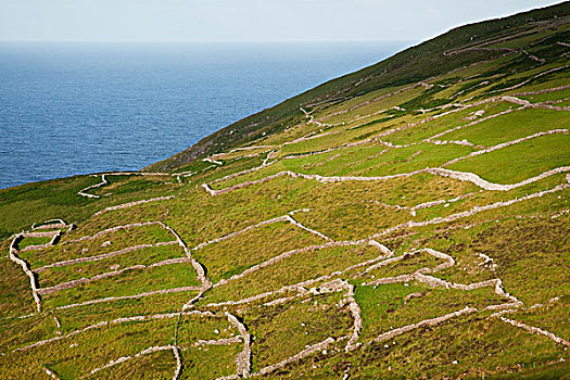 石头,屏障,沿岸,土地,巴岭斯基里格海湾,凯瑞郡,爱尔兰