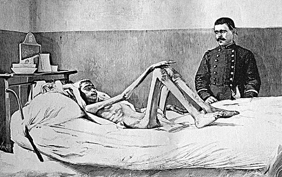 饥荒,阿尔及利亚,男人,救助,饥饿,医院,历史,插画,1893年