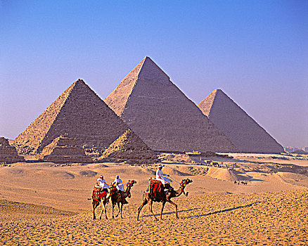 埃及,吉萨金字塔,骆驼,加,贝多因人,部落男子