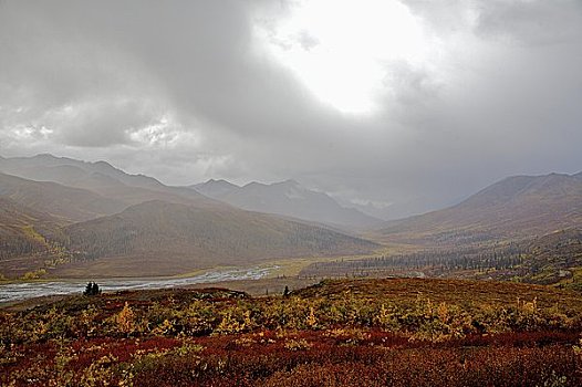 雨,上方,奥基尔维山,育空,加拿大