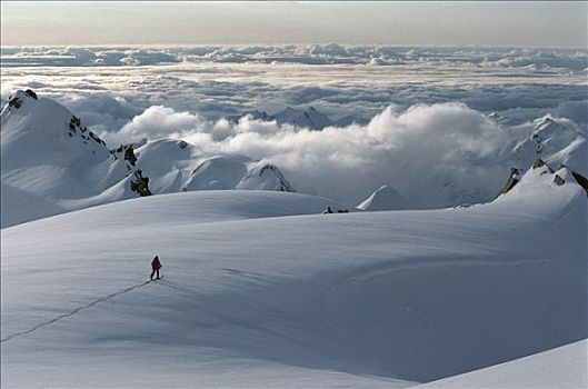 滑雪者,福克斯冰川,西区国家公园,新西兰