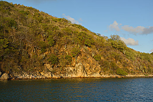 加勒比,英属维京群岛,岛屿,岩石,悬崖,仙人掌,大幅,尺寸