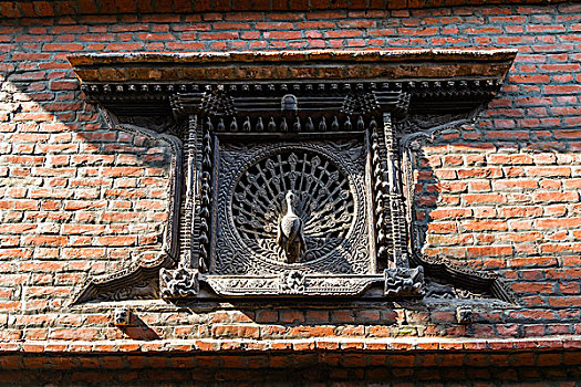 雕刻,木质,孔雀,窗户,房子,巴克塔普尔,加德满都,尼泊尔,亚洲