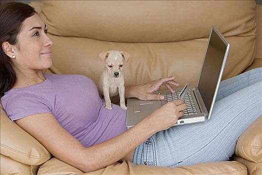 侧面,女青年,躺着,沙发,工作,笔记本电脑,小动物,坐