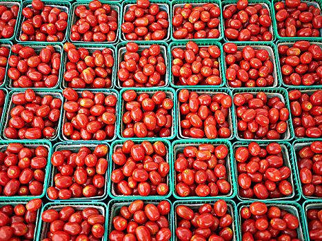 西红柿,市场,安大略省,加拿大