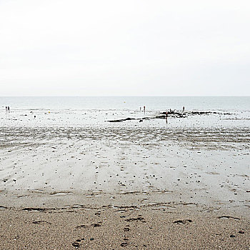 雨天,海洋