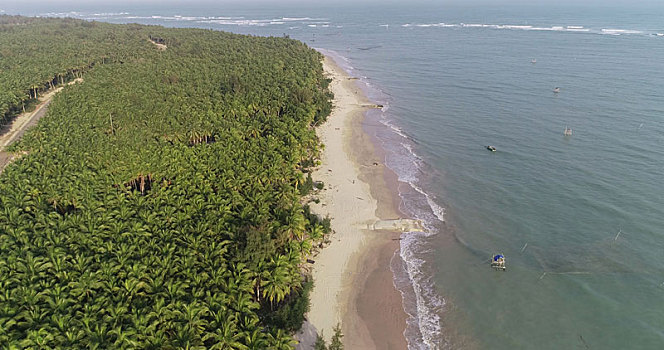 海南文昌,椰林湾,全球最美养生文化旅游胜地