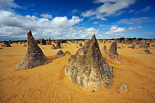 石灰石,顶峰,南邦国家公园,西澳大利亚州,澳大利亚