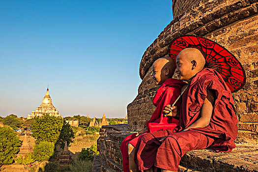 蒲甘,曼德勒,区域,缅甸,两个,孩子,僧侣,坐,上面,佛塔,塔,背景