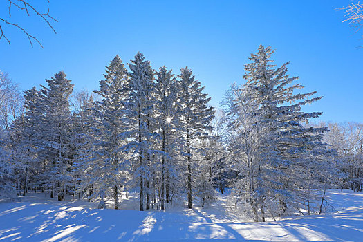 老里克湖冰雪风光