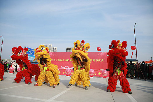 年货大集上醒狮欢腾,市民争相观看抚摸图个好彩头