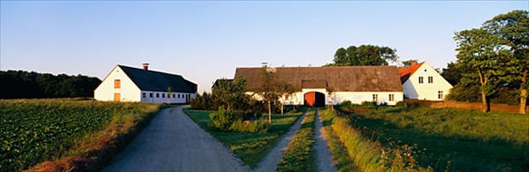 农场,乡村,西兰岛,丹麦