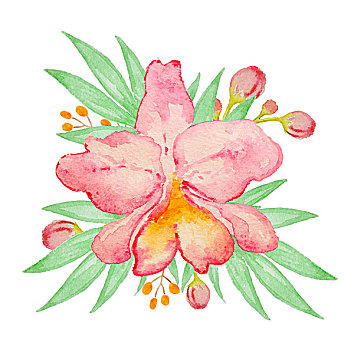 水彩,粉色,兰花,棕榈叶