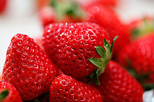 草莓,水果