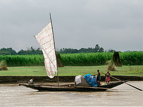 渔船,恒河,河,西孟加拉,印度