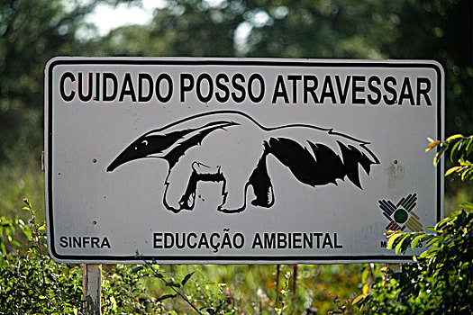 巨大,食蚁兽,道路,警告,标识,潘塔纳尔,巴西,南美