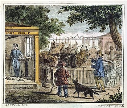 公用,秤重,牛,市场,1867年,艺术家,未知