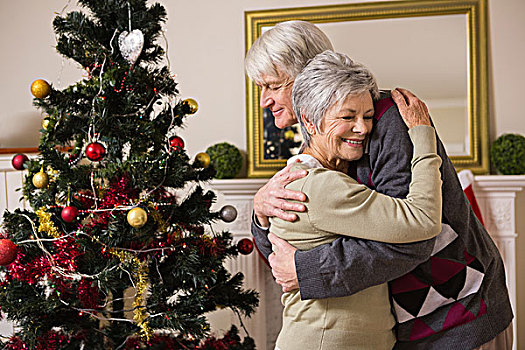 老年,夫妻,搂抱,旁侧,圣诞树