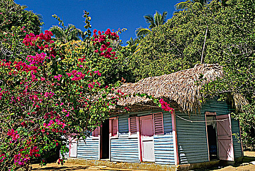 多米尼加共和国,传统,房子