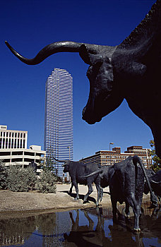 牛,雕塑,城镇广场,赶牛,广场,达拉斯,德克萨斯,美国