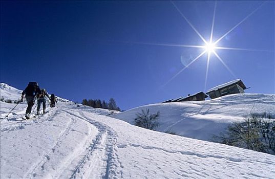 三个,滑雪,靠近,阿尔卑斯小屋,男式礼服,阿尔卑斯山,提洛尔,奥地利,欧洲