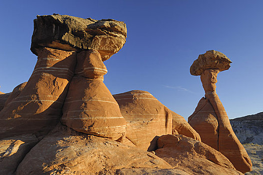 伞菌,怪岩柱,大阶梯-埃斯卡兰特国家保护区,犹他,美国