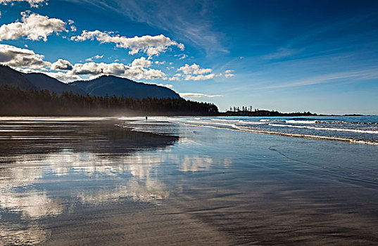 沙滩,崎岖,海洋公园,西部,海岸,温哥华岛,不列颠哥伦比亚省,加拿大