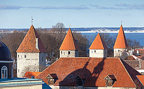 排,红色,塔,屋顶,老,塔林,爱沙尼亚