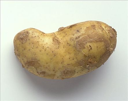 土豆,品种,意大利