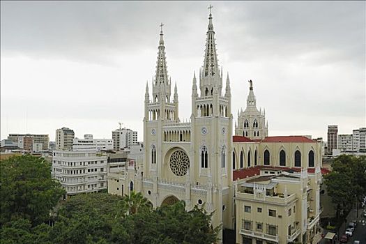 新,哥特式,大教堂,窗户,瓜亚基尔,厄瓜多尔,南美