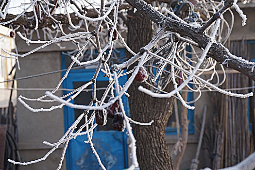 白雪