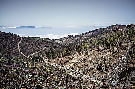 山,帕尔玛,岛屿,背景,特内里费岛,加纳利群岛,西班牙