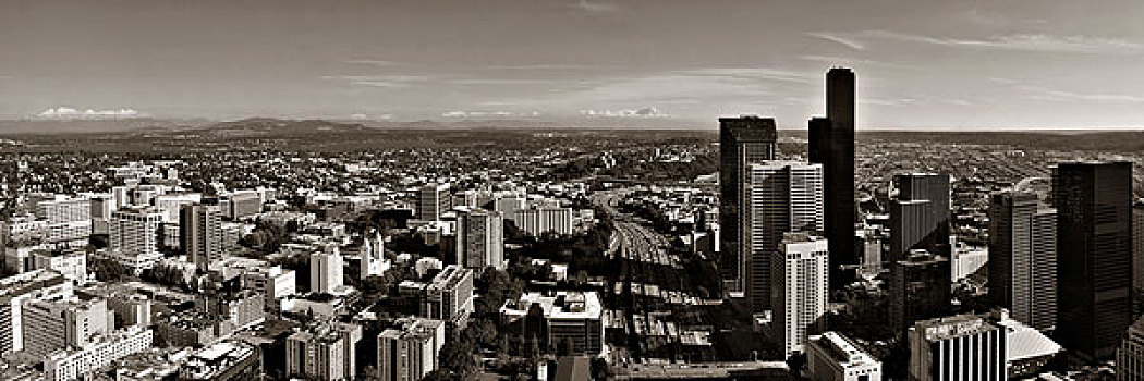 西雅图,屋顶,风景,城市,建筑