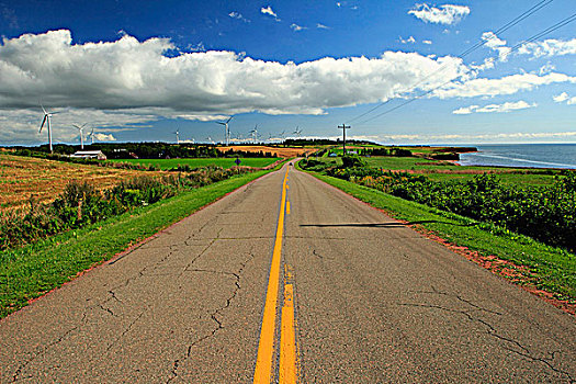 道路,通过,土地,北角,沿岸,驾驶,爱德华王子岛,加拿大