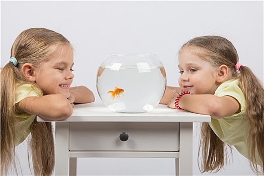 两个女孩,看,金鱼,小,鱼缸