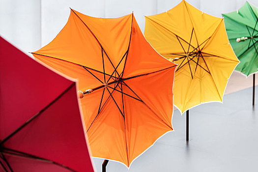 雨伞的纹理结构
