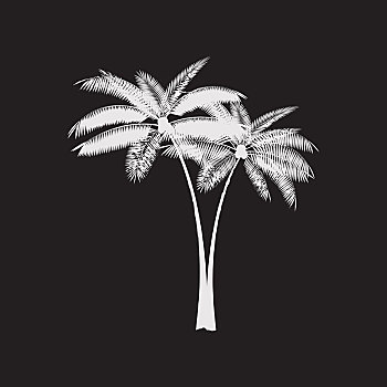 棕榈叶,矢量,背景,插画