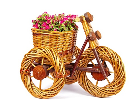 自行车,花瓶,花