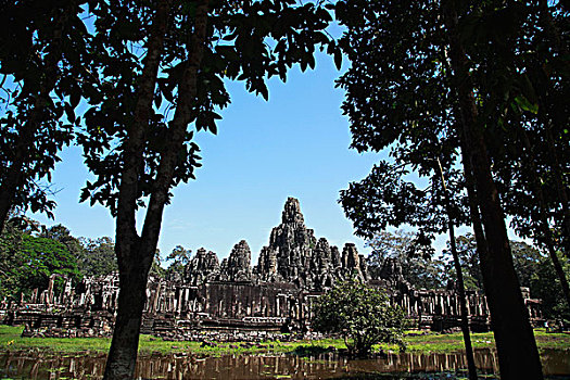 巴扬寺,树,吴哥窟,柬埔寨