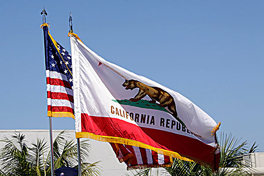 生日,游行,加利福尼亚州,旗帜
