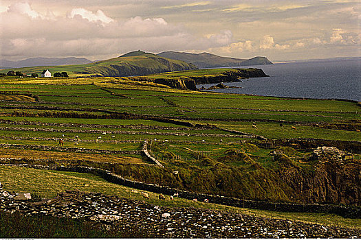 丁格尔湾,风景,丁格尔半岛,爱尔兰
