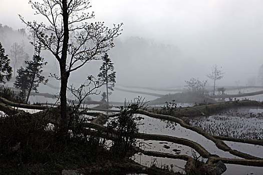 云南元阳梯田