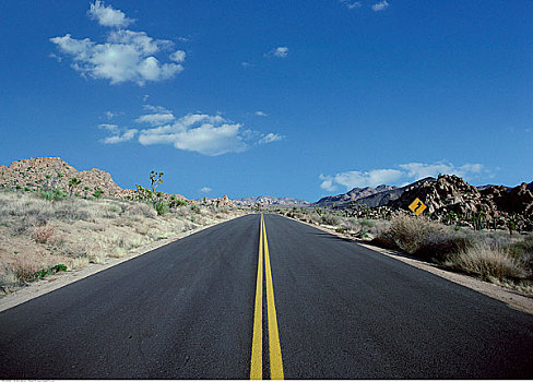 公路,莫哈维沙漠,约书亚树国家公园,加利福尼亚,美国