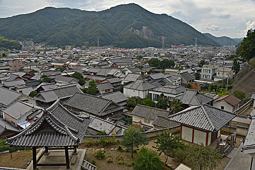 斑点,西部,寺院,日本