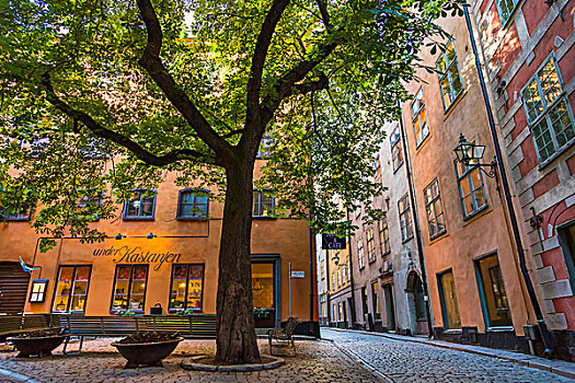 街景,咖啡,格姆拉斯坦,老城,斯德哥尔摩,瑞典