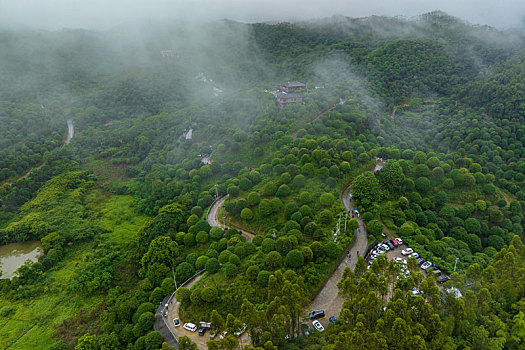 中国广西临桂,桂林之花,林业示范区雨后云雾缭绕景色秀丽