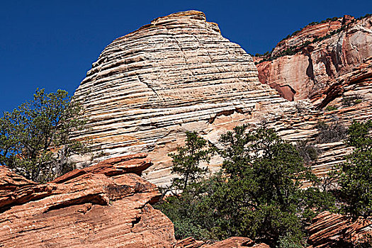 砂岩,岩石构造,峡谷,俯瞰,小路,锡安国家公园,犹他,美国,北美